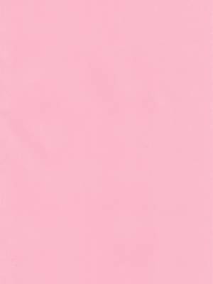 Gwenpool (Jumping Into an Indecent World) Hentai pt-br 02