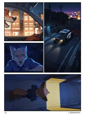 Nick's Field Patrol At Night